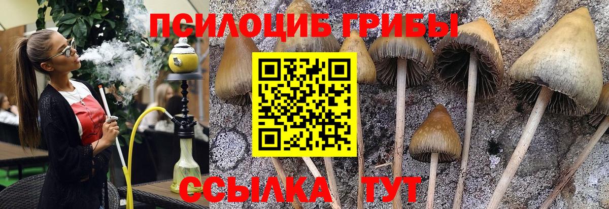 Галлюциногенные грибы GOLDEN TEACHER Холмск