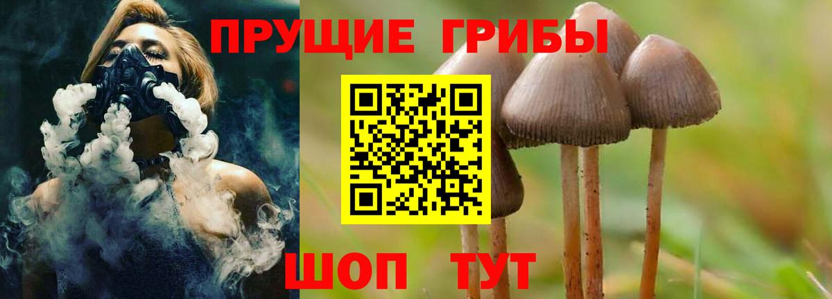 Галлюциногенные грибы Psilocybine cubensis  Галлюциногенные грибы Psilocybine cubensis  Вход с VPN  Холмск 